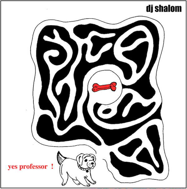 2003 : DJ Shalom – Yes professor